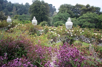 Wales - sensommer i Bodnant Garden