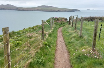 Wales - smuk udsigt fra Pembrokeshire Coastal Path