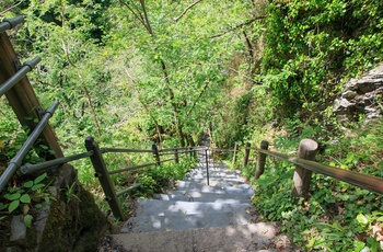 Wales - vejen til bunden af kløften ved Devils Bridge går ned på Jacobs Ladder