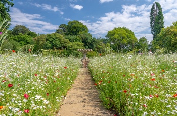 Wales - vilde blomster og fuglebad i Bodnant Grden
