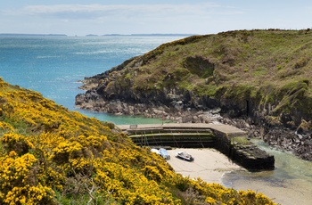 Wales, Pembrokeshire - Porthclais Harbour 