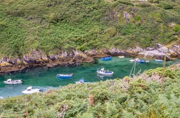 Wales, Pembrokeshire - Porthclais harbour 