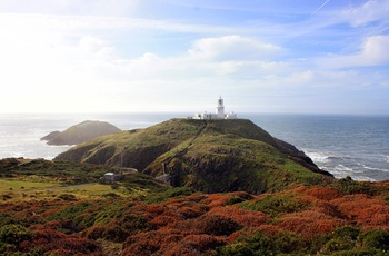 Wales, Pembrokeshire - Strumble Head lighthouse ligger på en høj yderst mod havet