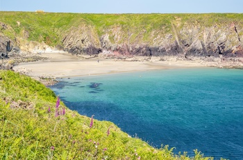 Wales, Pembrokeshire - stranden ved Abereiddy, hvor skibene blev lastet med skiffer ved ebbe