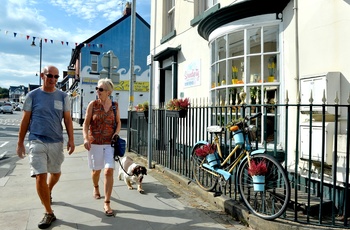 Wales, Welshpool - hunden er med i Welshtown (Foto - Cymru Wales Crown Copyright)