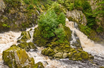 Conwy Falls - vandfald tæt på landsbyen Betws Y Coed, Snowdonia i Wales