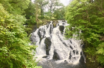 Swallow Falls - vandfald tæt på landsbyen Betws Y Coed, Snowdonia i Wales