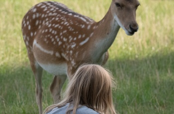 Skånes Djurpark. Kom tæt på dyrene