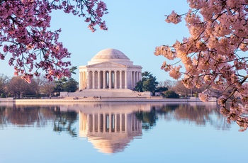Jefferson Memorial og kirsebærblomster i Washington D.C.