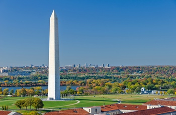 Washington D.C. Monument