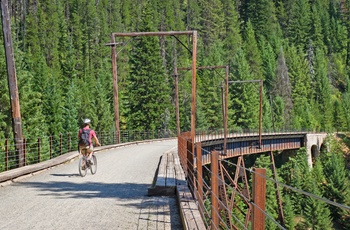 På cykel via Hiawatha Trail - bro over frodigt skovområde - Montana og Idaho i USA