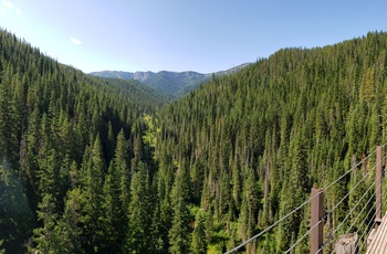En del af Hiawatha Trail - bro over frodigt skovområde - Montana og Idaho i USA