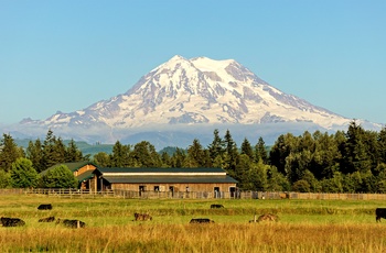Vulkanen Mount Rainier og en farm i Washington State, USA