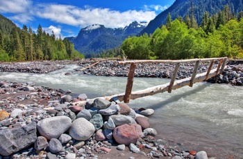 Flod og smuk natur i Hiker ser på på Mount Rainier National Park, Washington State i USA
