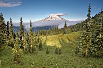 Mount Rainier National Park, Washington State i USA