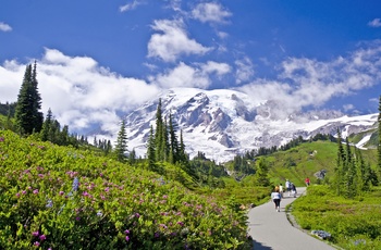 På vandring i Mount Rainier National Park i Washington State, USA