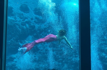 Weeki Wachee Springs havfrue, Florida