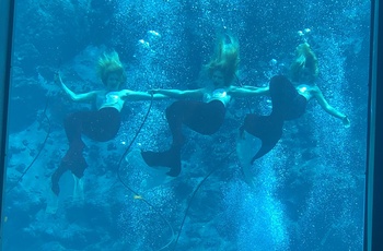 Weeki Wachee Springs havfruerne, Florida