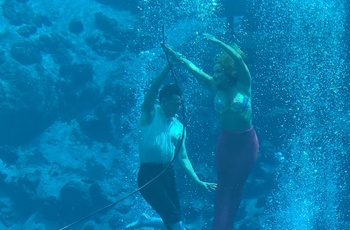 Weeki Wachee Springs havfrueshow, Florida