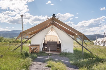 Glamping i West Yellowstone - Safari