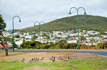 Den lille by Albany i Western Australia