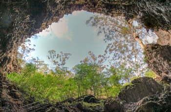 Kalkstenshulen eller grotten Mammoth Cave i Western Australia, Australien