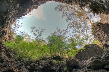 Kalkstenshulen eller grotten Mammoth Cave i Western Australia, Australien