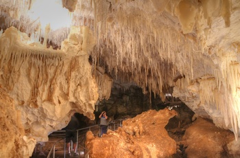 Kalkstenshulen eller grotten Mammoth Cave i Western Australia, Australien