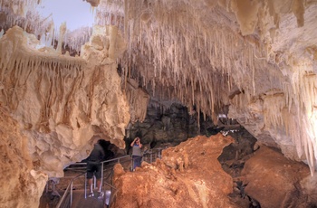 Kalkstenshulen eller grotten Mammoth Cave i Western Australia, Australien