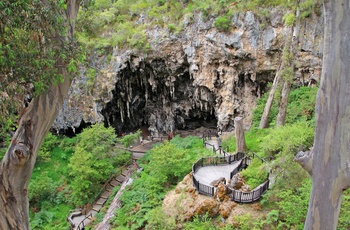 Lake Cave syd for Margaret River i Western Australia, Australien