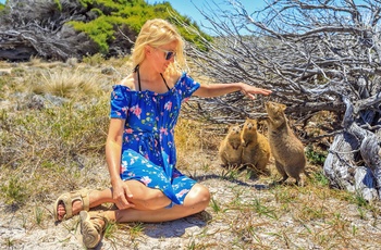 Nysgerrige små kænguruer tæt på ung kvinde - Rottnest Island i Western Australia