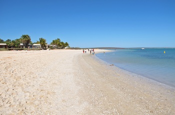 Lækker strand ved Monkey Mia, Shark Bay i Western Australia