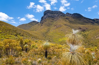 Udsigt til Bluff Knoll i Stirling Range National Park, Western Australia