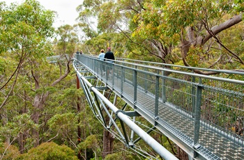 Gangbro i Valley og the Giants, Western Australia