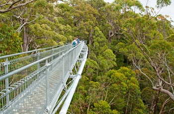 Gangbro i Valley og the Giants, Western Australia