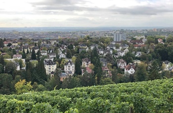 Udsigt over Wiesbaden fra toppen af Neroberg