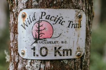 Wild Pacific Trail nær Ucluelet på Vancouver Island - Foto: Charles van der Essen, Unsplash