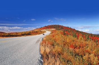 Efterårsfarver langs Top of the World Highway i Alaska og Yukon