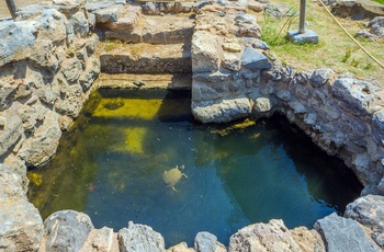 Cisterne i ruinerne af Zakros-paladset på Kretas østkyst