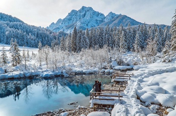 Zelenci Naturreservat om vinteren i Slovenien - Foto: George Bakos Unsplash.jpg