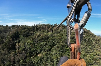 Zipline er meget populær i Monteverde Cloud Forest Reserve - Costa Rica