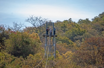 Zipline i Sydafrika