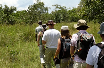 Turister på guidet tur med ranger i Ziwa Rhino Sanctuary - Uganda