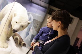Mor og datter ser udstoppet isbjørn på zoologisk museum