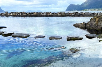 Atlanterhavsparken i Ålesund, Norge - "sælbugten"