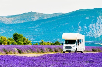 Autocamper i Europa. Kategori: Alkove - gennem lavendelmark i Sydfrankrig