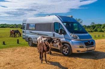 Tag på autocamperferie i Sydengland, fx her i New Forest National Park Hampshire