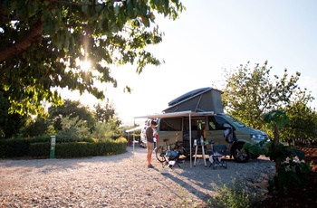 Autocamper - overnatning på vingård