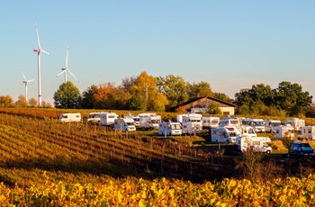 Autocamper - overnatning på vingård