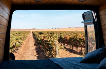 Overnatning i autocamper på vingård eller ved et landbrug